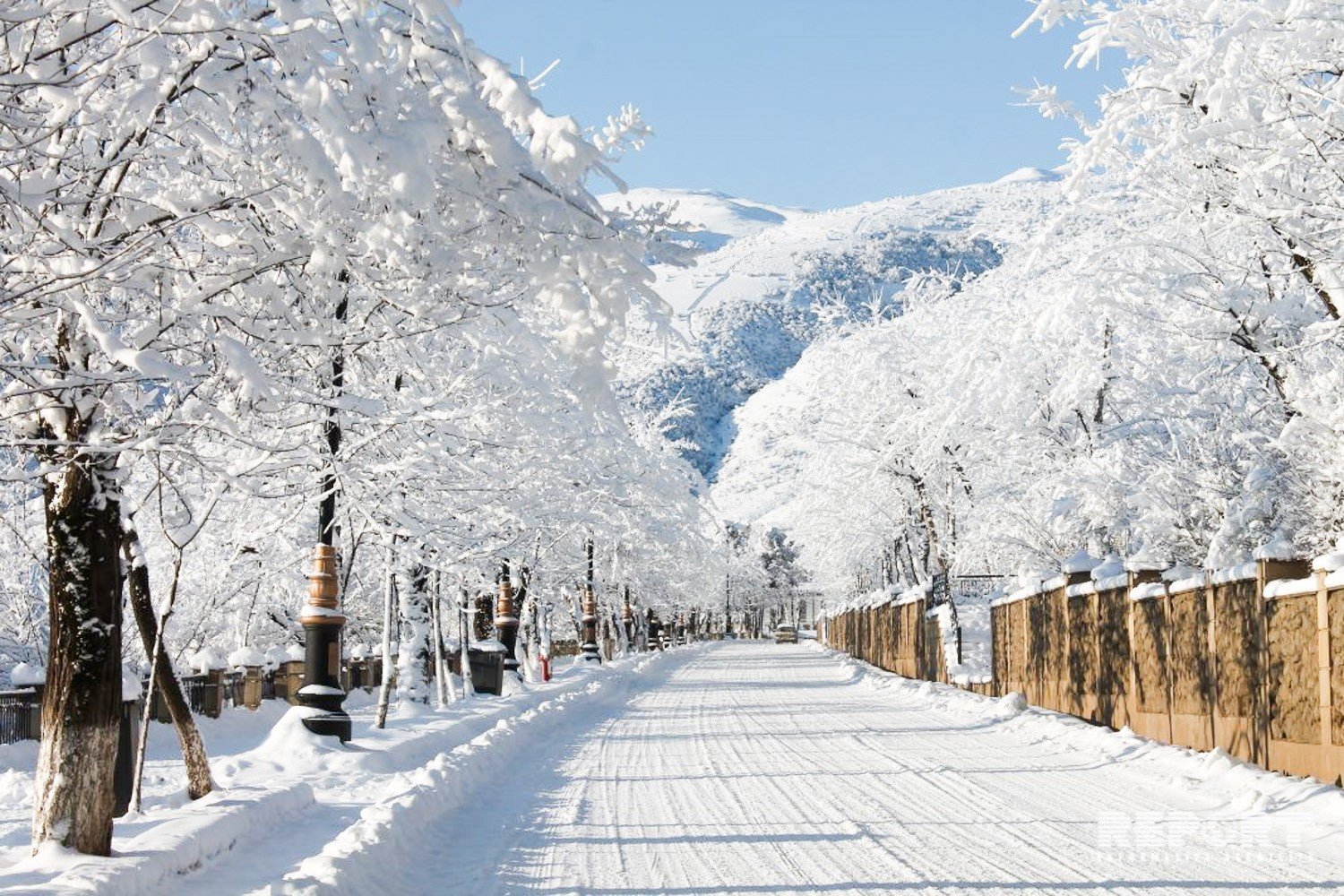 Qar yağacaq, güclü külək əsəcək, temperatur 4-6 dərəcə aşağı enəcək - XƏBƏRDARLIQ