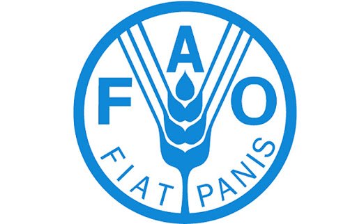FAO Azərbaycanda qida israfçılığının azaldılmasına kömək edəcək